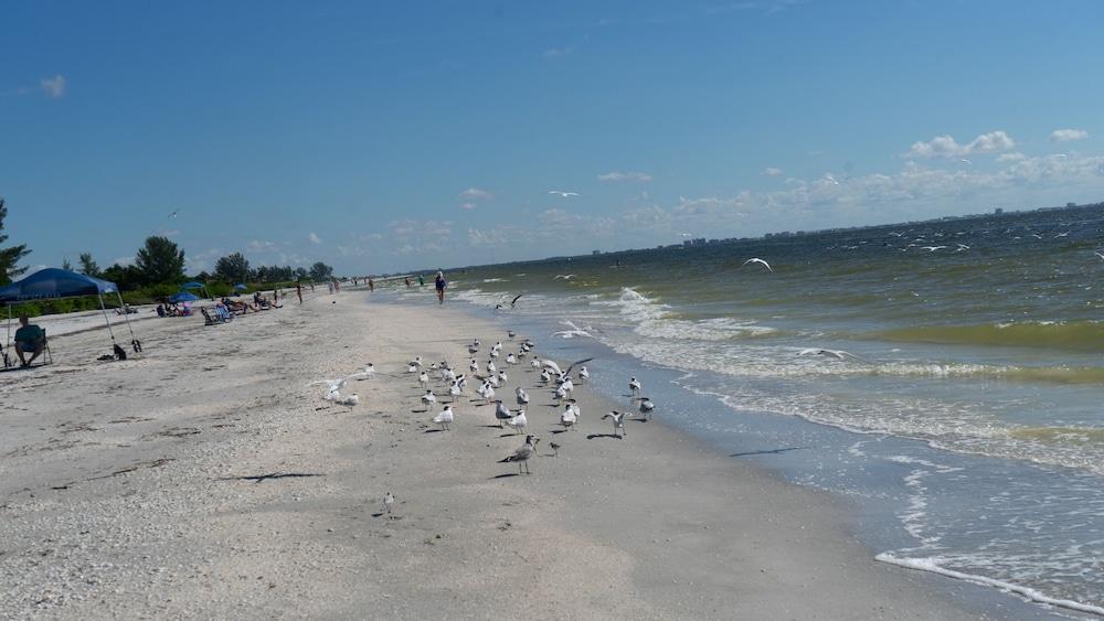 Gulf Breeze Cottages Sanibel Esterno foto